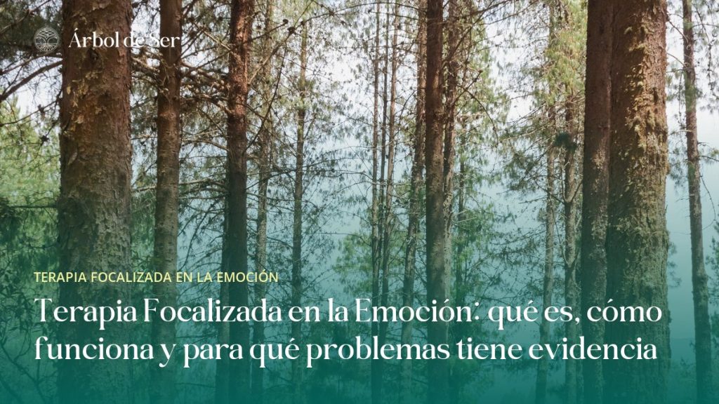 Terapia Focalizada en la Emoción: qué es, cómo funciona y para qué problemas tiene evidencia